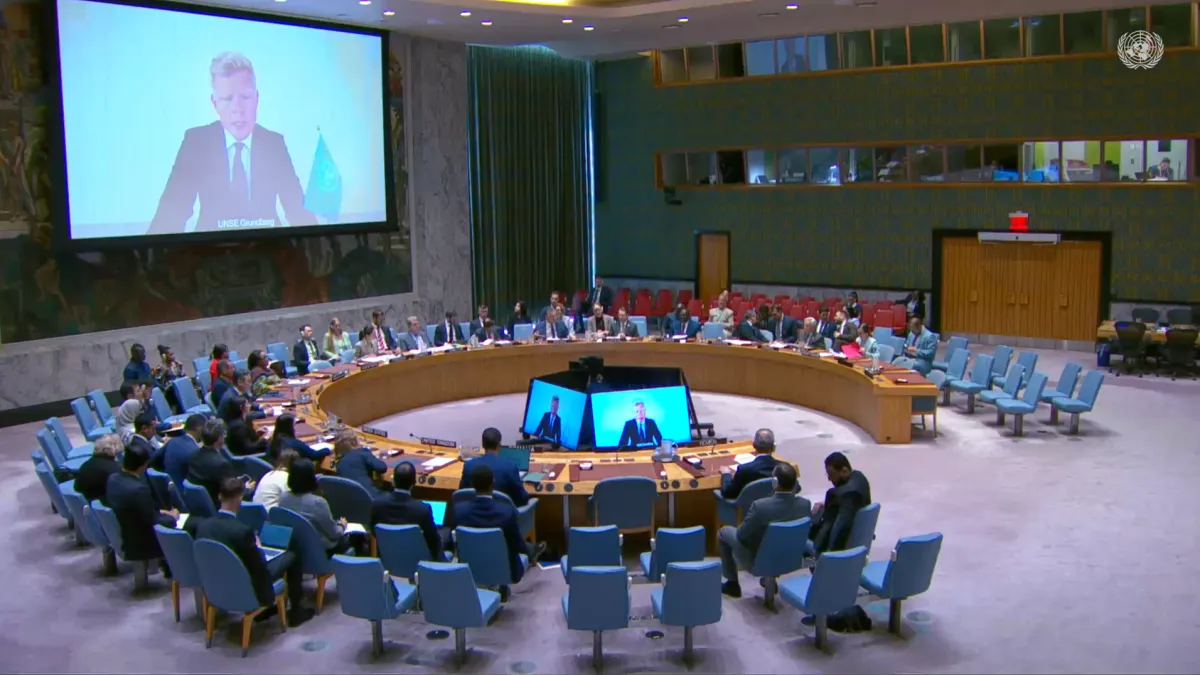 Security Council briefing 