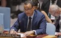 المبعوث الخاص للأمين العام للأمم المتحدة الى اليمن  يقدّم احاطته الاخيرة لمجلس الامن